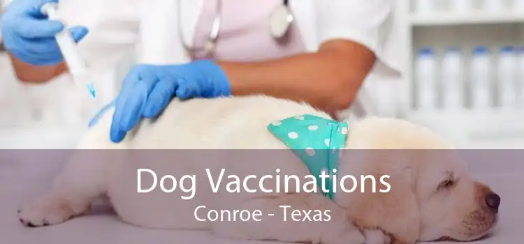 Dog Vaccinations Conroe - Texas