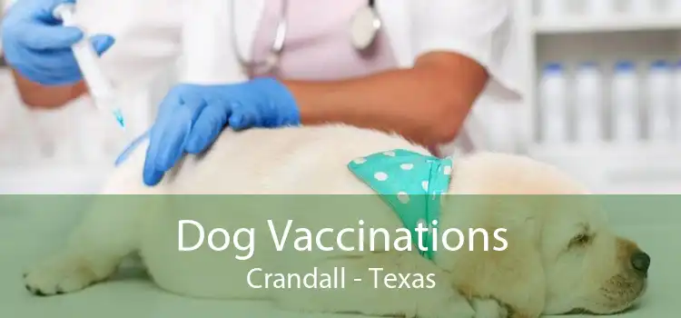Dog Vaccinations Crandall - Texas