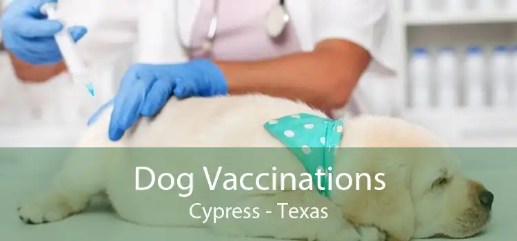 Dog Vaccinations Cypress - Texas