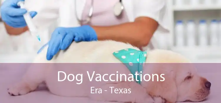 Dog Vaccinations Era - Texas