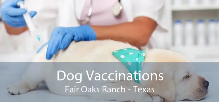 Dog Vaccinations Fair Oaks Ranch - Texas