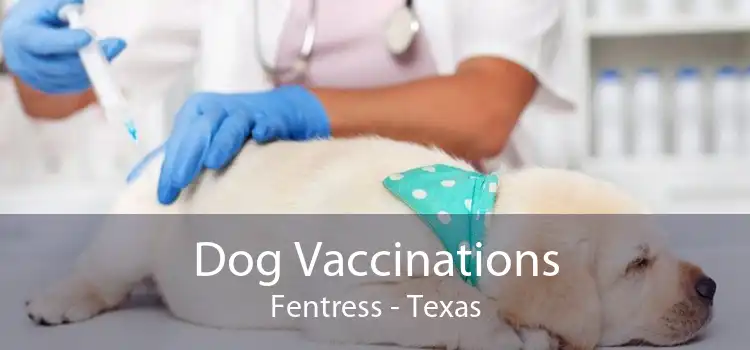 Dog Vaccinations Fentress - Texas