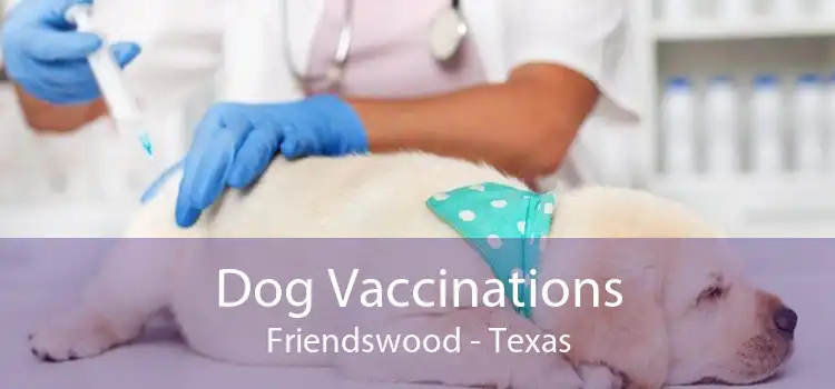 Dog Vaccinations Friendswood - Texas