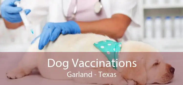 Dog Vaccinations Garland - Texas