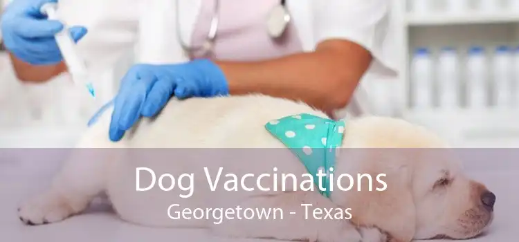 Dog Vaccinations Georgetown - Texas