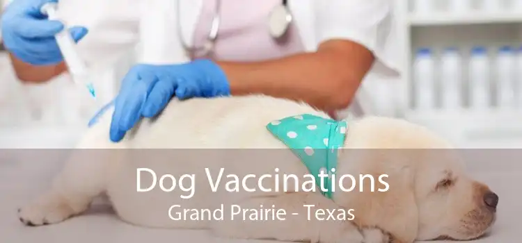 Dog Vaccinations Grand Prairie - Texas