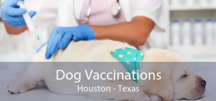 Dog Vaccinations Houston - Texas