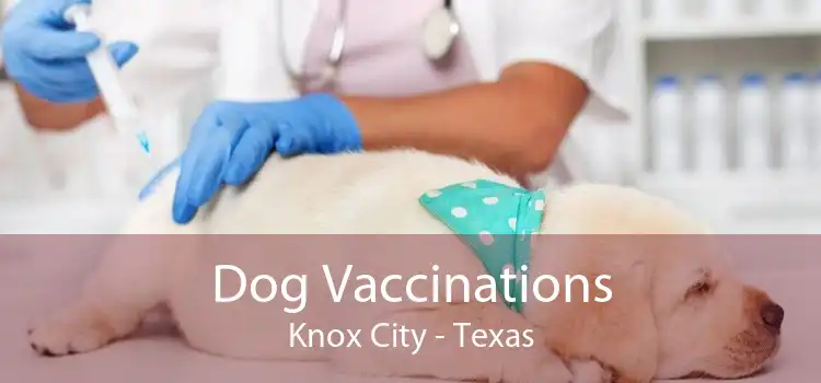 Dog Vaccinations Knox City - Texas