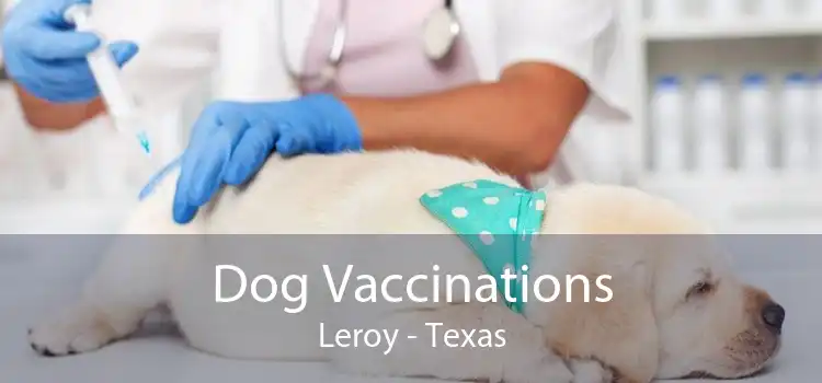 Dog Vaccinations Leroy - Texas