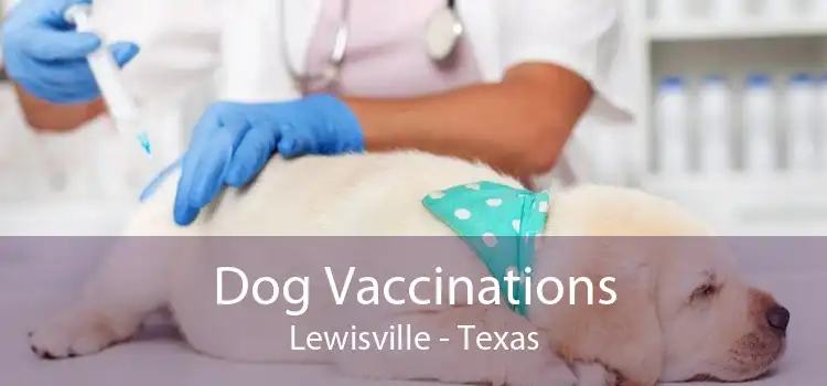 Dog Vaccinations Lewisville - Texas