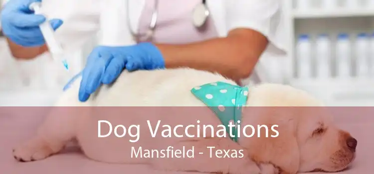 Dog Vaccinations Mansfield - Texas