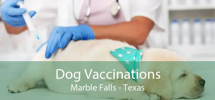 Dog Vaccinations Marble Falls - Texas
