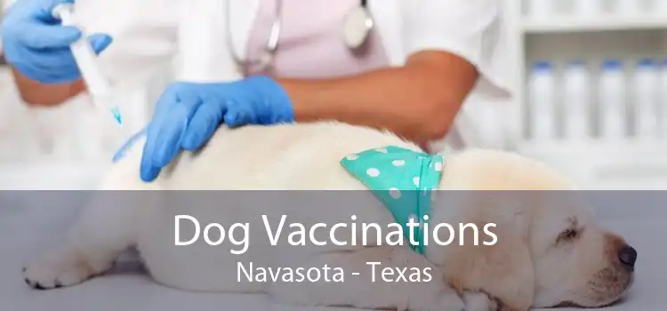 Dog Vaccinations Navasota - Texas