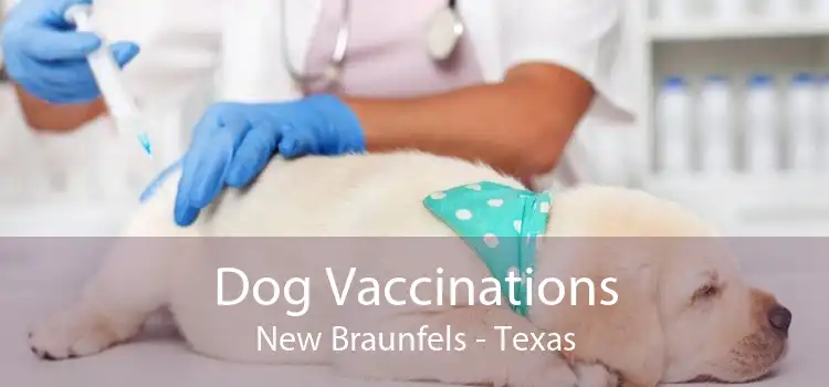 Dog Vaccinations New Braunfels - Texas