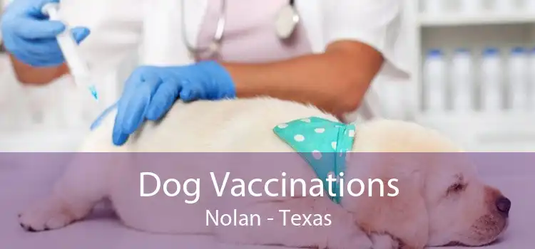 Dog Vaccinations Nolan - Texas