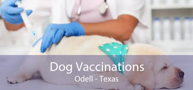 Dog Vaccinations Odell - Texas