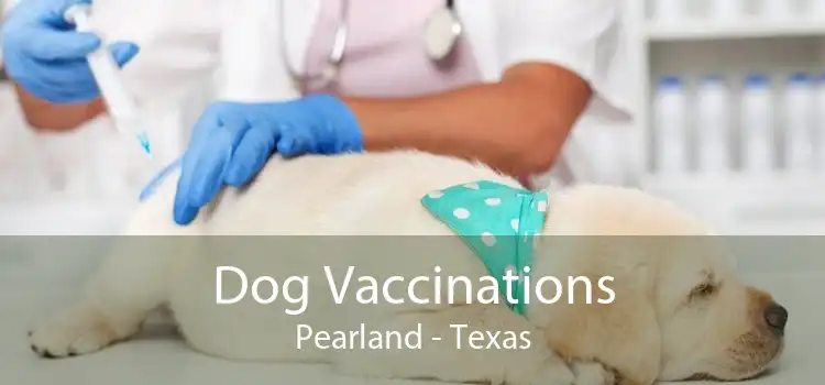 Dog Vaccinations Pearland - Texas