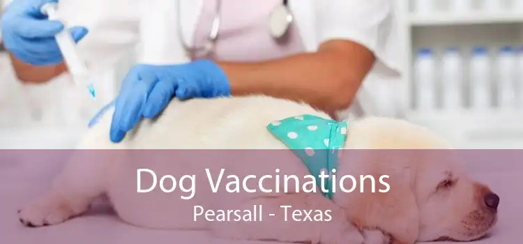 Dog Vaccinations Pearsall - Texas