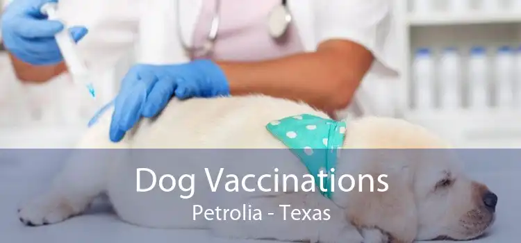 Dog Vaccinations Petrolia - Texas