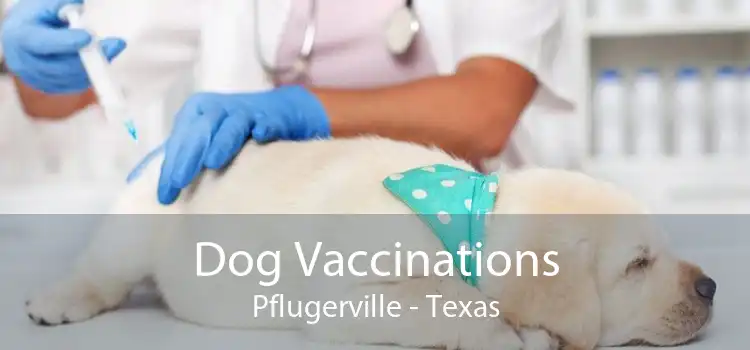 Dog Vaccinations Pflugerville - Texas