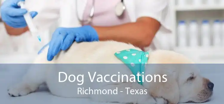 Dog Vaccinations Richmond - Texas