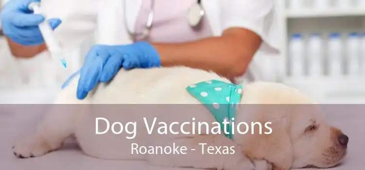 Dog Vaccinations Roanoke - Texas