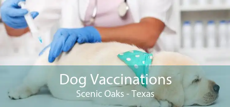 Dog Vaccinations Scenic Oaks - Texas