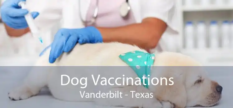 Dog Vaccinations Vanderbilt - Texas