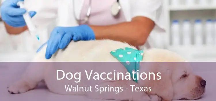 Dog Vaccinations Walnut Springs - Texas