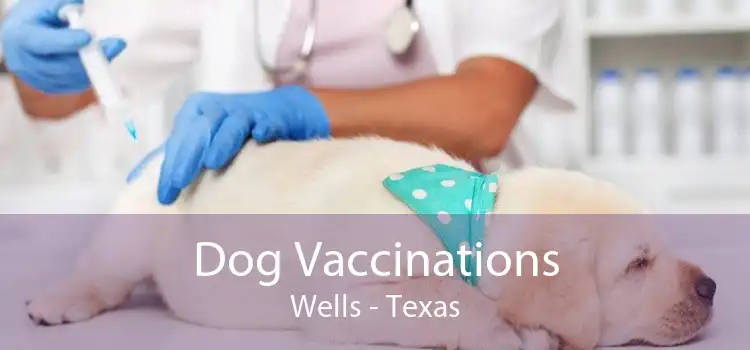 Dog Vaccinations Wells - Texas