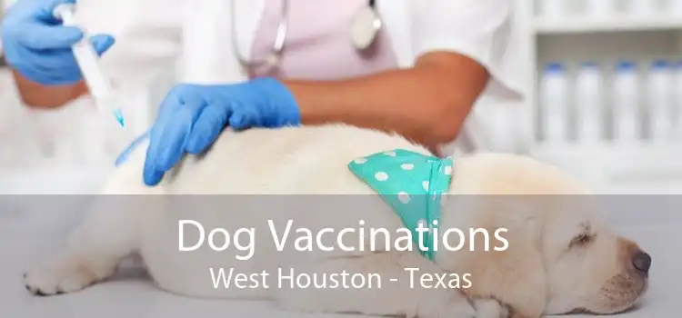 Dog Vaccinations West Houston - Texas