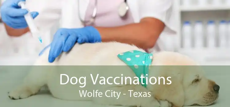 Dog Vaccinations Wolfe City - Texas