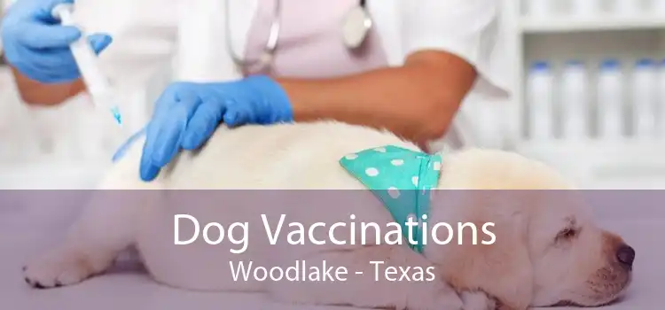 Dog Vaccinations Woodlake - Texas