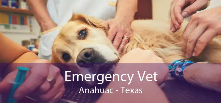 Emergency Vet Anahuac - Texas