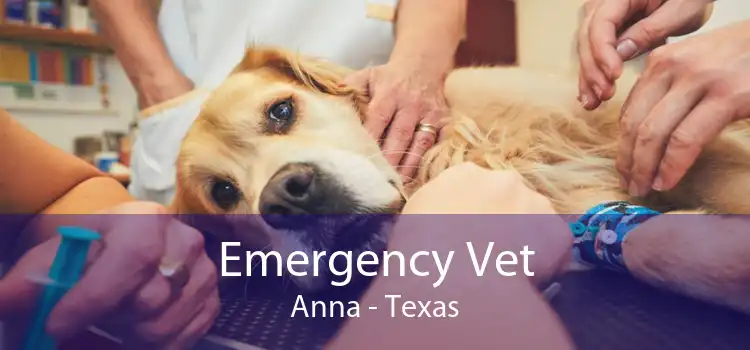 Emergency Vet Anna - Texas