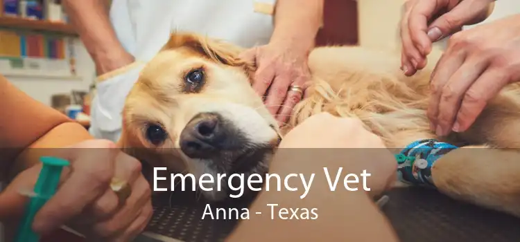 Emergency Vet Anna - Texas