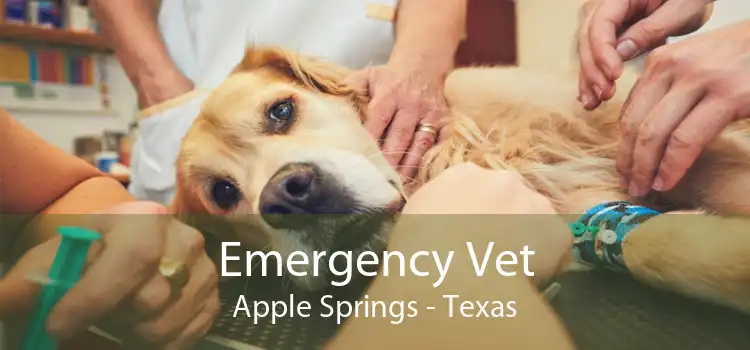 Emergency Vet Apple Springs - Texas