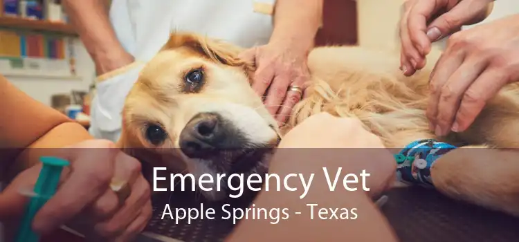 Emergency Vet Apple Springs - Texas