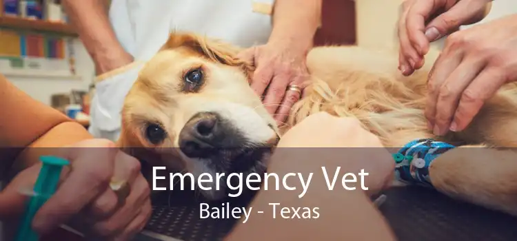 Emergency Vet Bailey - Texas