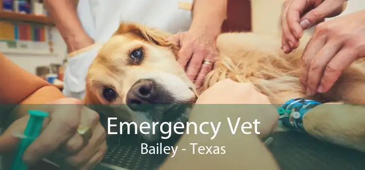 Emergency Vet Bailey - Texas