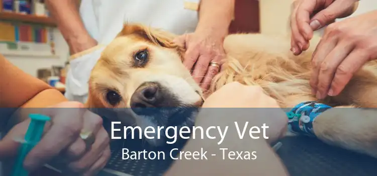 Emergency Vet Barton Creek - Texas