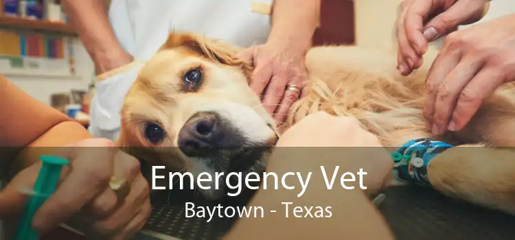 Emergency Vet Baytown - Texas