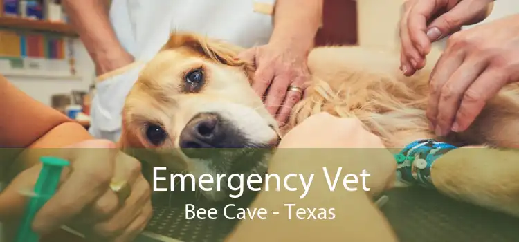 Emergency Vet Bee Cave - Texas