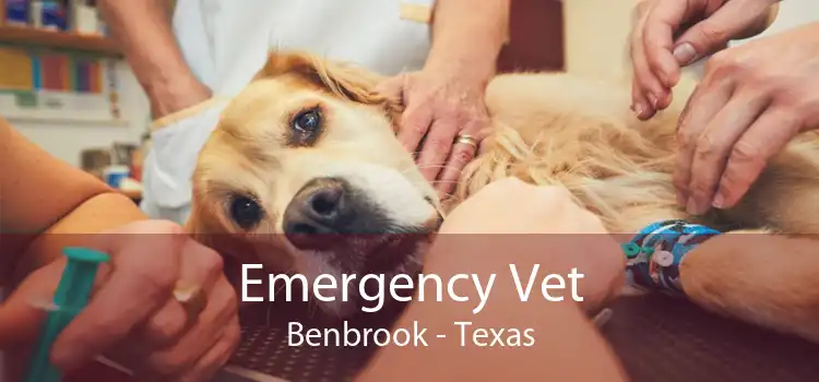 Emergency Vet Benbrook - Texas