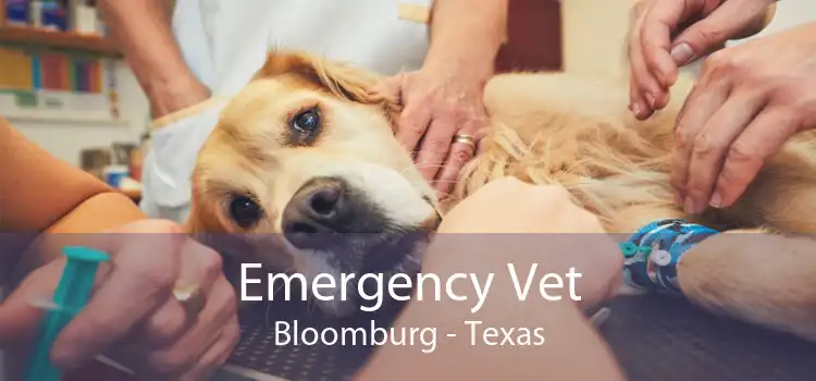 Emergency Vet Bloomburg - Texas
