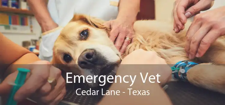 Emergency Vet Cedar Lane - Texas