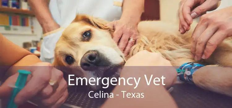 Emergency Vet Celina - Texas