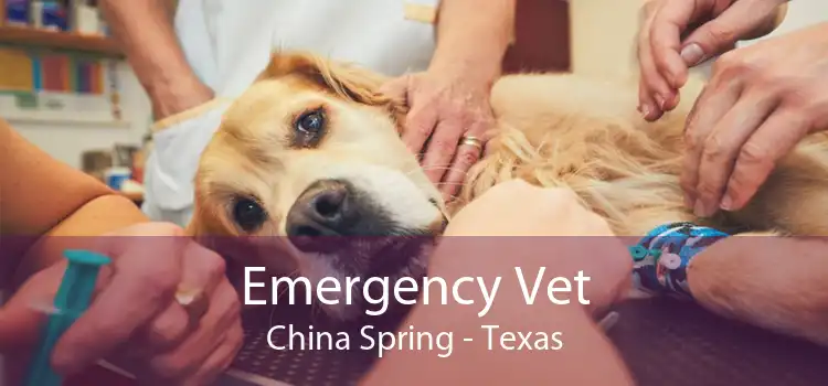 Emergency Vet China Spring - Texas