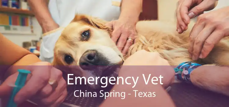 Emergency Vet China Spring - Texas