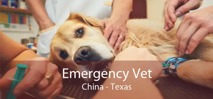 Emergency Vet China - Texas